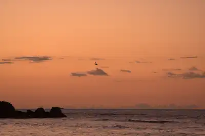 paisaje de mar en el atardecer